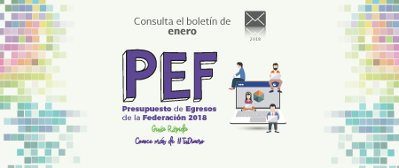 Boletn Enero 2018