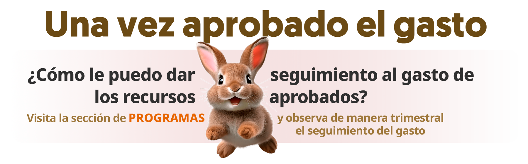 Botn de seguimiento de programas